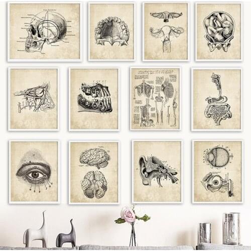 Vintage Black And White Medical Bone Dissection Poster Wall Decoration Canvas Painting Poster for Living Room Bedroom Home Decor