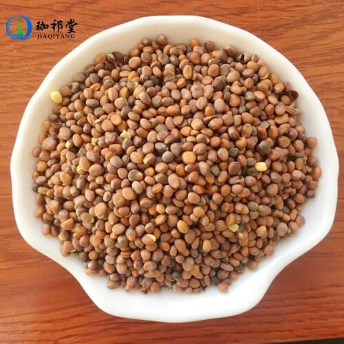 RadishSeed Semen Raphani Raphanus Sativus L. LaiFuZi