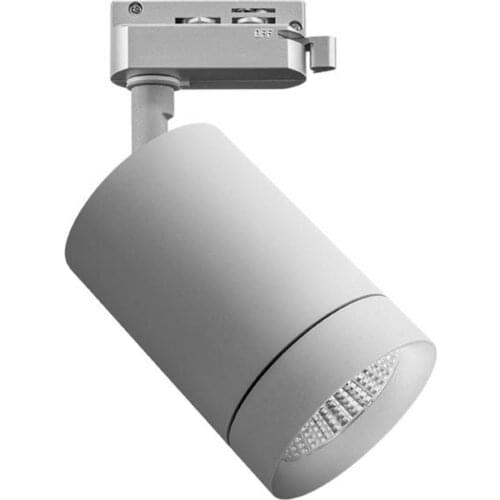 Lightstar Adjustable Lights