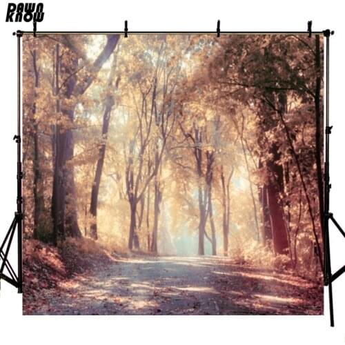 DAWNKNOW Autumn Scenery Photography Background For Children Forest Fallen Leaves Customize Backdrop For Photo Studio F167