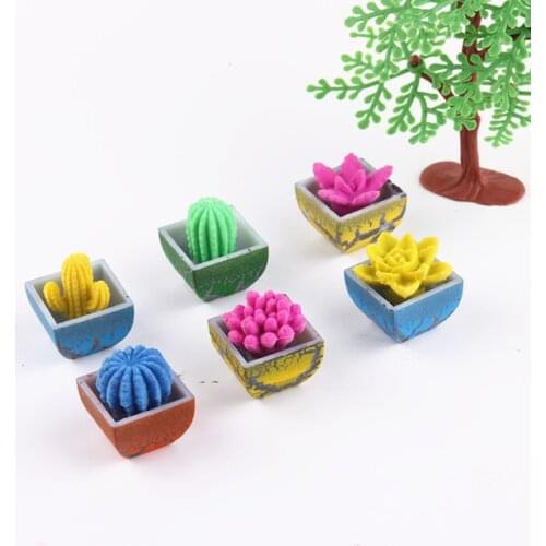 Prickly pear soaked in water color bubble expansion cracks big plant small toy strange new educational toys color random