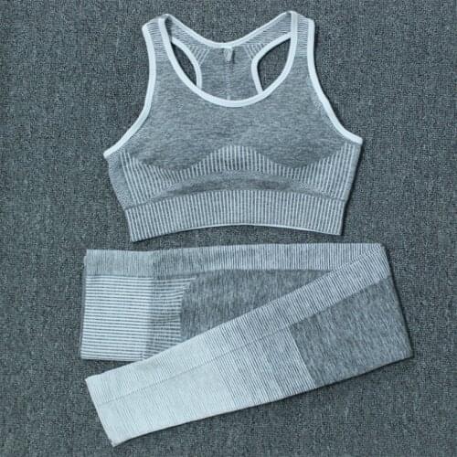 Hot Selling Seamless Gym Wear High Waist Fitness Clothing Womens Yoga Set