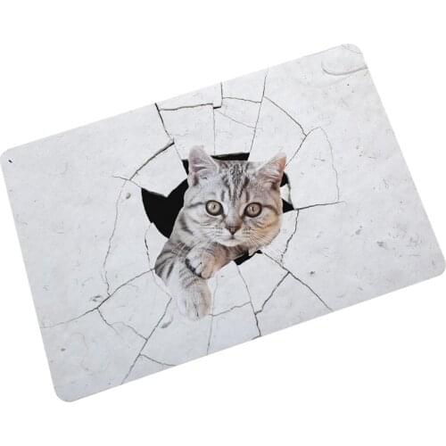 New Cat Cartoon Rubber Carpet Non-Slip Bathroom Mat Entrance Door Mat Bath Carpet Bedroom Living Room Outdoor Floor Mat