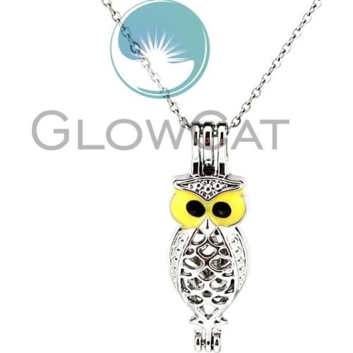 Colors Enamel Owl Beads Cage Locket Pendant Perfume Essential Oil Diffuser Pearl Cage Necklace KK998