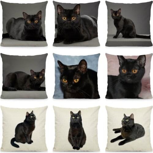 XUNYU Cute Bombay Cat Cushion Cover Animal Print Throw Pillow Case Home Decoration Sofa Decorative Pillowcase 45x45cm DWM006