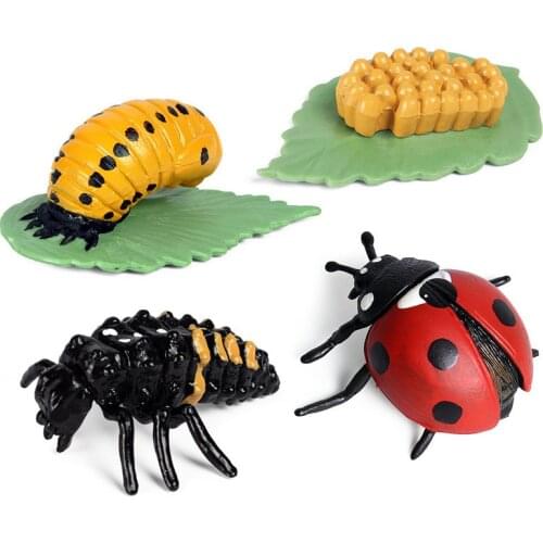 Simulation Animals Growth Cycle Model Frog Bee Spider Butterfly Action Figures Figurine Cute Kids Baby Toy Figures Educational