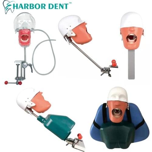 Dental Phantom Head Simulator Manikin Model for Dentist Education Training With New Style Bench Mount on Dental Chair