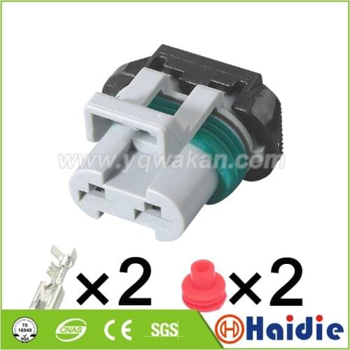 Free shipping 5sets 2pin Delphi Ford fan plug electronic fan plug headlamp plug power ABS pump Connector 15363990