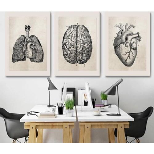 European Human Anatomy Lung Brain Heart Posters and Prints Hospital Painting Wall Canvas Art Living Room Decoration Painting