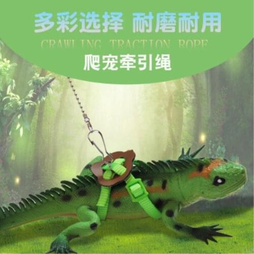 Lizard traction rope Pet traction rope with flying rope Parrot squirrel squid rat traction strap