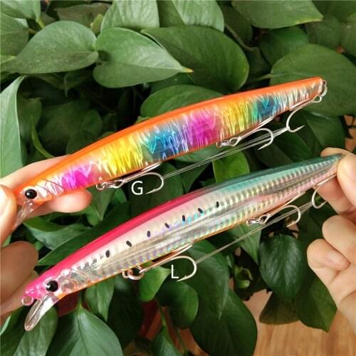 TSURINOYA 2PCS DW110 160mm 31g Long Casting Floating Minnow Sea Fishing Large Lure 6pcs Saltwater Seabass Hard Baits