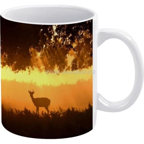 Morning In Bushy Park Coffee Mugs Ceramic Tea Cup Milk Mug Warmer Personalized Friends Birthday Gift London Bushy Park Parks Eng