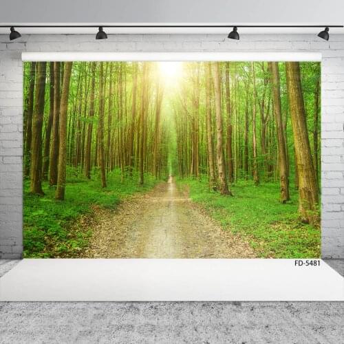 Sunshine Trees Path Grassland Photography Backdrop Customized Fond Background for Baby Children Portrait Photocall Photo Studio