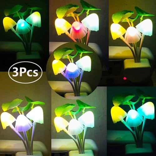 SHISU Night Lights