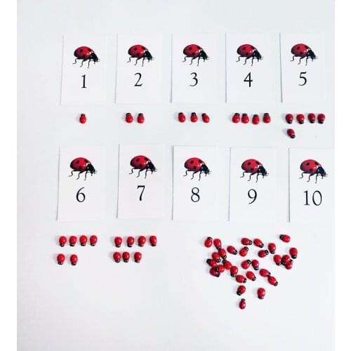 Montessori Materials Montessori Ladybug Unit Card Educational Early Learning Toys For Children Juguetes Brinquedos YH0244H