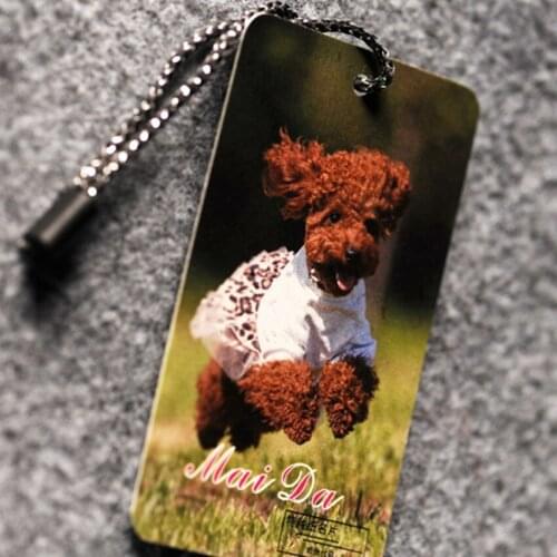 ZeQi 400gsm paper colorful custom hang tag customized paper swing tags custom free shipping