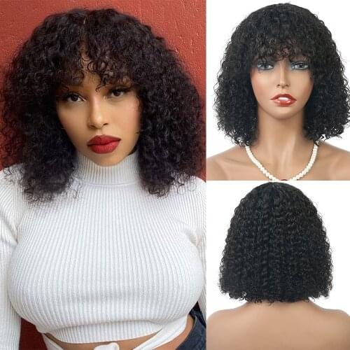 Fashion Plus Blend Wigs
