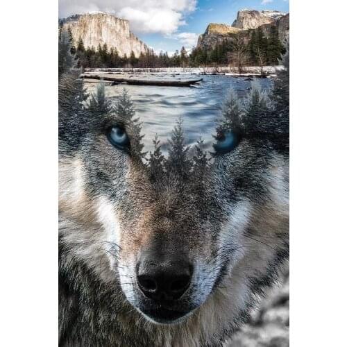 JMINE Div 5D Wolf River Mountain Nature landscape Full Diamond Painting cross stitch kits art Animal 3D paint by diamonds