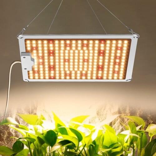 110W LED Grow Light Samsung LM301B LM281B Full Spectrum Grow Lights For Flower Seeds for Indoor Plant