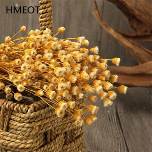 Natural Dried Flower Bouquet Happy Little Star Flower Plants Wedding Party Festive Decoratin Home Desktop Decoration Photo Props
