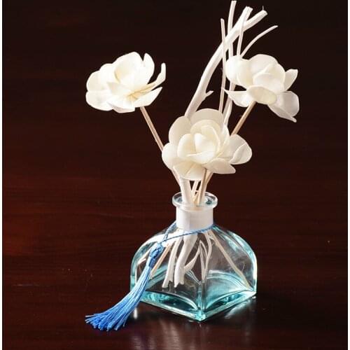 Home Bedroom Aromatherapy Flower Inserter Home Decoration Accessories Glass Transparent Vase Desktop Decoration
