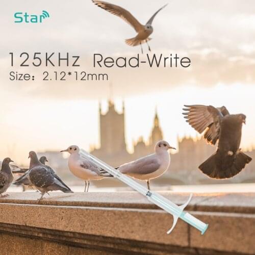 Fdx-A Veterinary Animal Syringe With T5577 Chips 125khz Animal Rfid Glass Capsule Tag Set X90