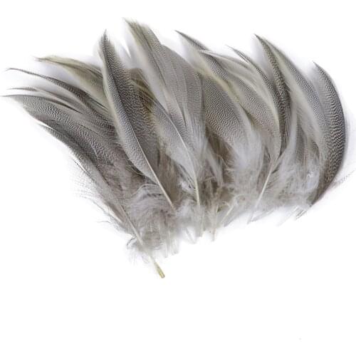 50pcs Natural Duck Feathers 8-13cm for Jewelry Decoration Fly Tying Material Plumes Crafts Pheasant Feather