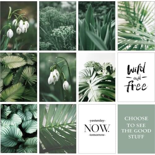 White tulip green orchid aloe monstera plant art canvas painting nordic posters and prints wall pictures for living room decor