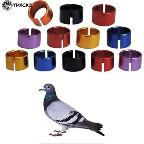 10 Pcs /set Pet Bird Rings 10mm Aluminium Pigeon Rings Training Identification