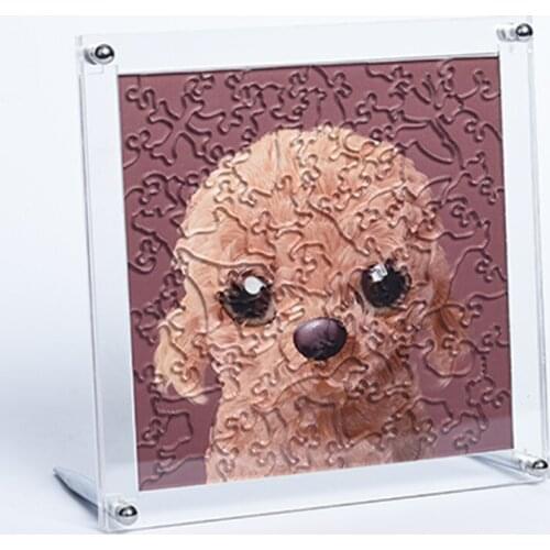 Jigsaw Puzzle Crystal Puzzle Transparent Puzzles for Adults Learning Toys Children Kids Toys Educational Jigsaw