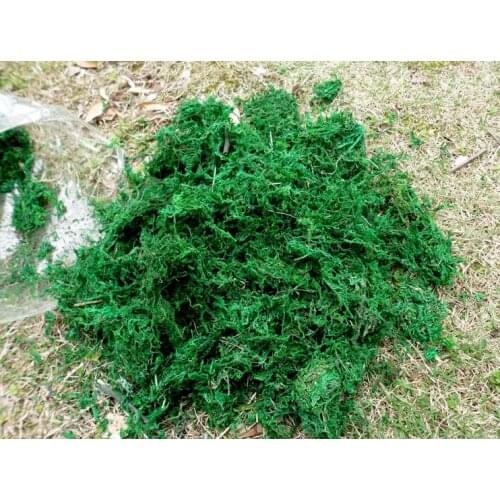 320g bag Keep dry real green moss decorative plants vase artificial turf accessories for flowerpot decor