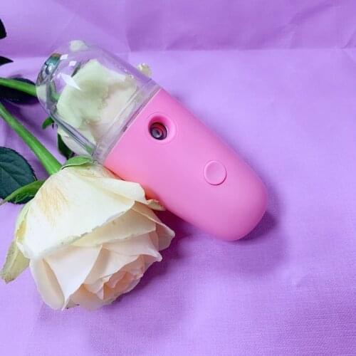 Nano Hydrating Facial Spray Portable Handheld Humidifier Facial Moisturizing Steaming Face Beauty Equipment