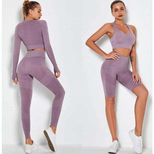 Women Seamless Yoga Set Yoga Long Sleeve Shirts High Waist Running Leggings Workout Pants Shorts Fitness Sports Suits Yoga Bra