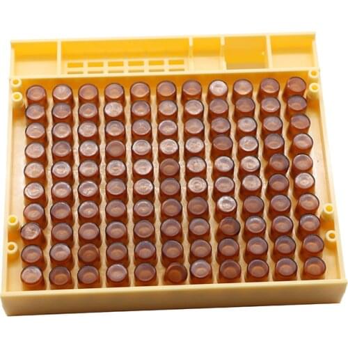 1 set beekeping tools queen rearing equipment queen breeding box 110pcs bee cell cups 10pcs queen cage cupkit