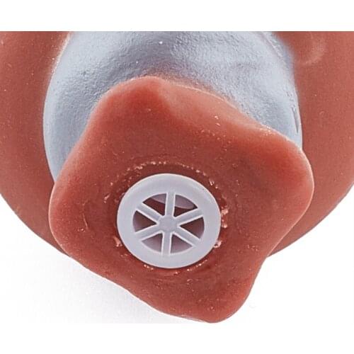 Squeaky Pet Dog Chew Toys Teeth Cleaning Funny Toy Rubber Sausage Dogs Toy