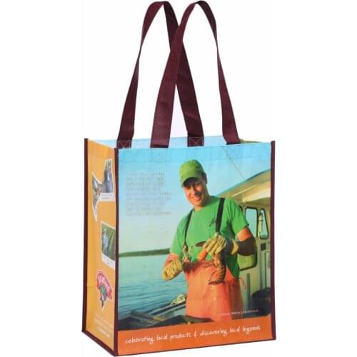 Free Shipping Custom Laminated Full Color PP Non-Woven Shopping Bag Grocery Tote Bag With LOGO