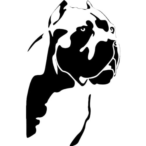 CK20445# Die-cut Vinyl Decal Cane Corso 2 Car Sticker Waterproof Auto Decors on Car Body Bumper Rear Window