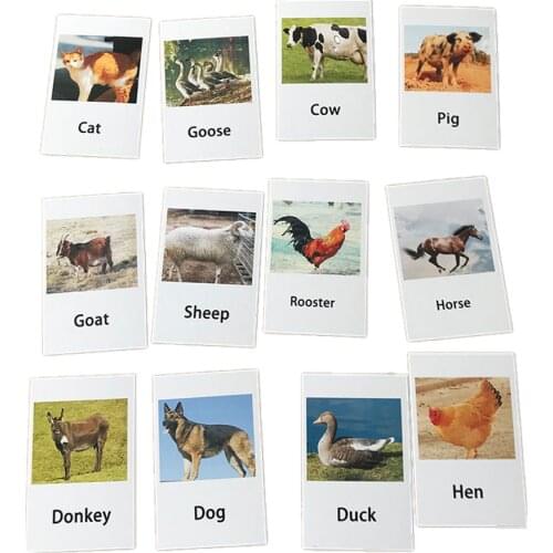 Montessori Teaching Aids Baby Learning English Animals Kids Card Early Educational Practical Life Toys for Children 12pair/lot