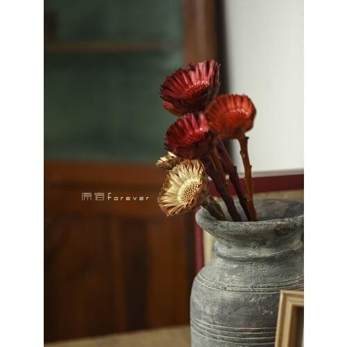 1pcs South Africa Imported Preserved Fresh Flower Sun Chrysanthemum Dried Flower Mori Retro Home B & B Decorations and Ornament