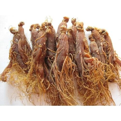 Changbaishan Traditional healthy herbal, Natural organic Ginseng