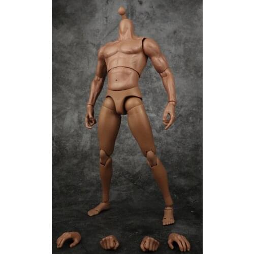 12''Male Muscular Bodies with Extra Hand Types for 1/6 Male Head Toys Gifts Collections