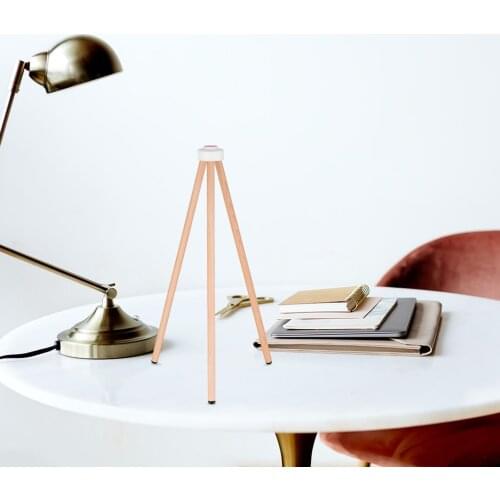 Smart Speaker Floor Stand Solid Wood Speaker Stand Smart Speaker Accessory Replacement for Apple HomePod