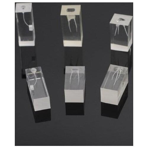 RZ3S 10 pcs 1:1 Dental Endodontic Resin Practice Tools For Student (H: 3cm), Gift: 1 Pack Super Files (Heat Activted Files)