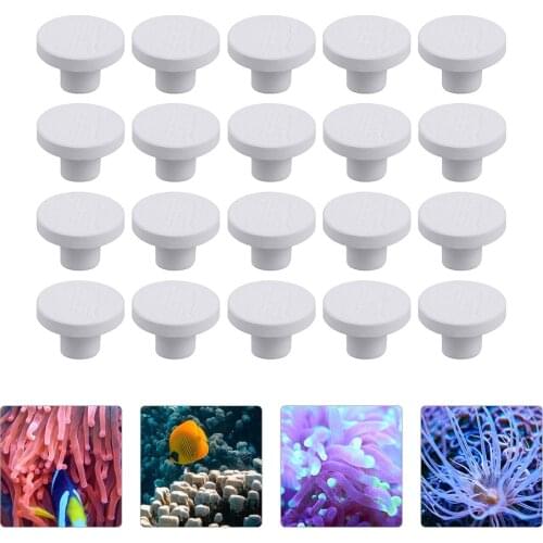 20pcs Coral Frag Rack Plug Aquarium Coral Reef Coral Ceramic Base Bracket
