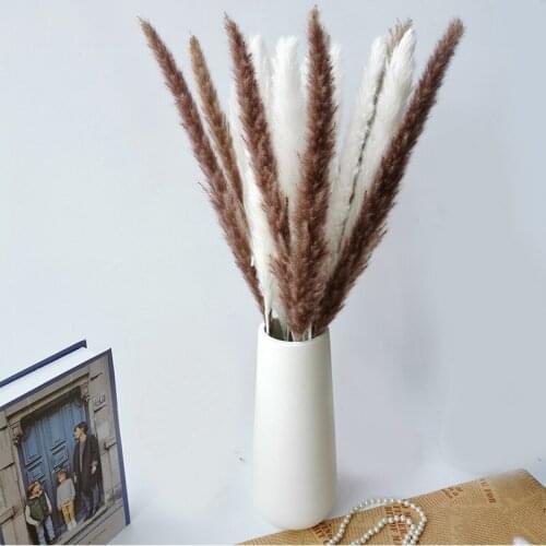 Pampas Grass Dried Natural Phragmites Flowers Decor Home Wedding Christmas Small Reed Plants Fleurs Sechees Naturelles Bouquet