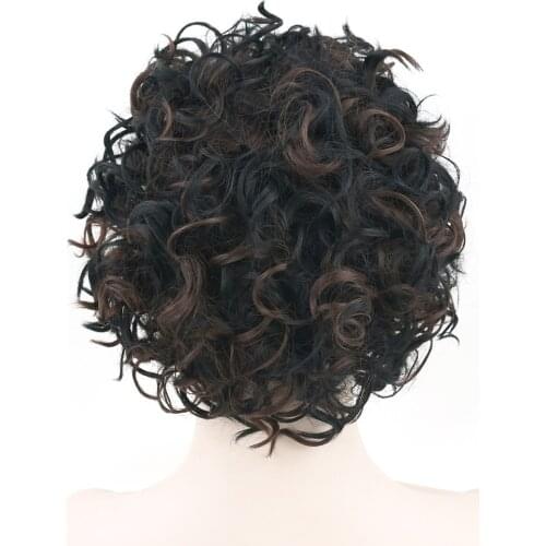 Soowee Curly Black Mix Brown Short Cosplay Wig Hairstyle False Hair Synthetic Afro Wigs for Men and Women
