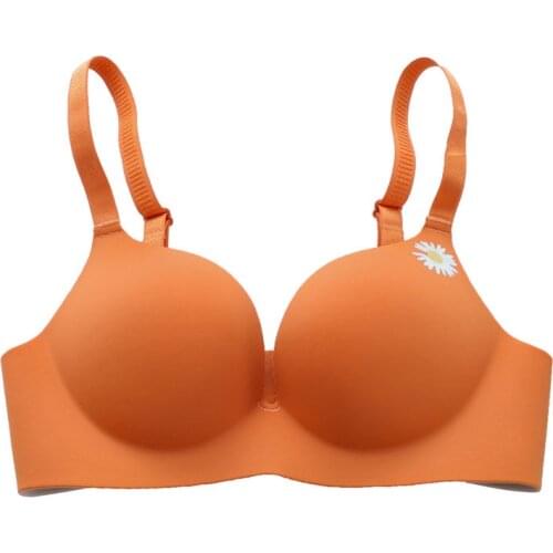 Fashion Daisy Print Seamless Women Bra 3/4 Cup Sexy Lingerie Wireless Bralette Intimates Push Up Female Brassiere