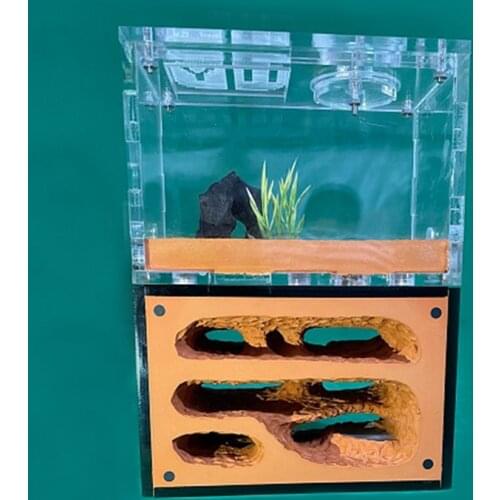 Ecological Ant Farm Unlimited Expansion Ant Nest Yellow Mud Moisturize Anthill Farm Ants House Acrylic Box Ant kennel Workshop