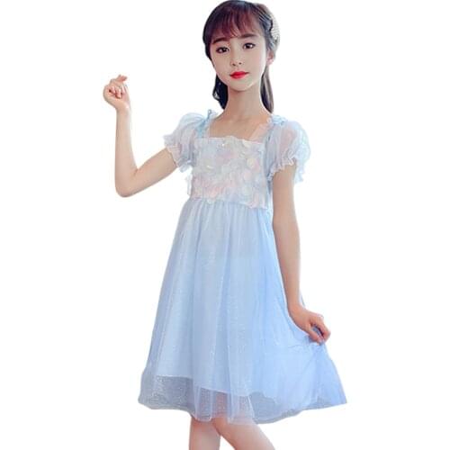 Dress For Girls Mesh Girls Dresses Floral Appliques Kid Dress Summer Costumes For Girls 6 8 10 12 14