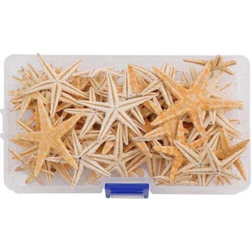 1 Box Starfish Natural Mixed Reusable Realistic White Star Sea Shell for Party